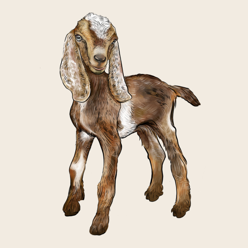 Baby Nubian Goat Premium Sweatshirt by LillyAllenDesigns | Teevron