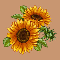 Soraya Sunflower Heavyweight Hoodie | Teevron