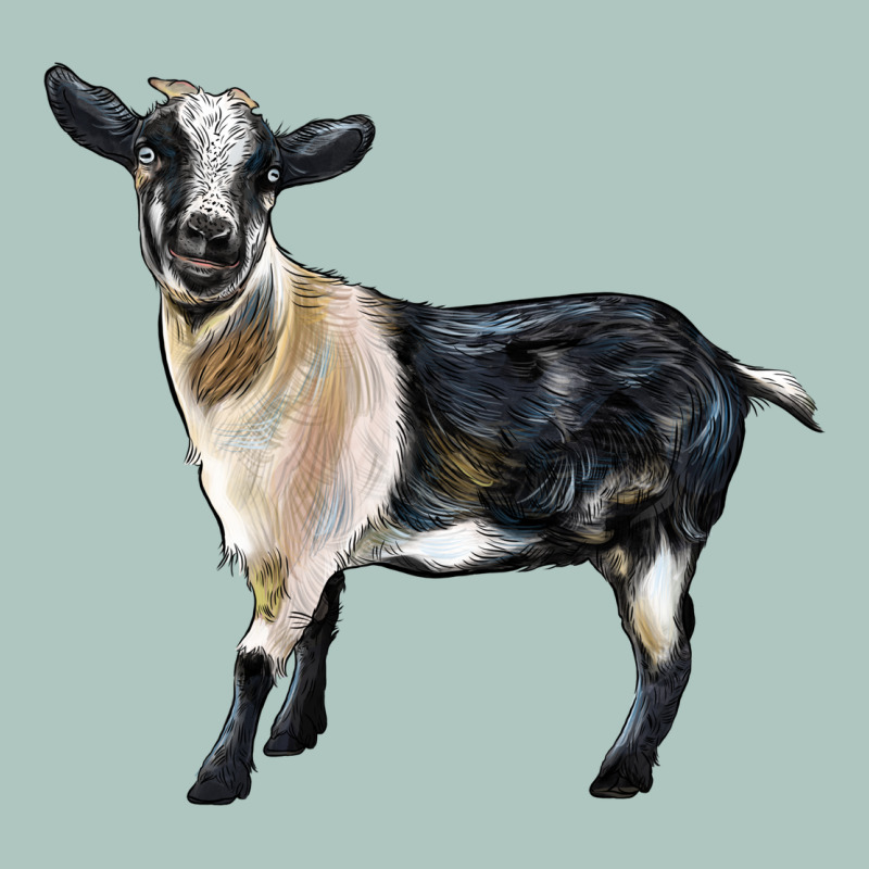 Tennessee Fainting Goat Premium Sweatshirt by LillyAllenDesigns | Teevron