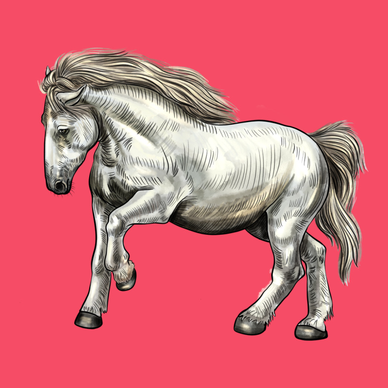 Percheron Horse Premium Sweatshirt by LillyAllenDesigns | Teevron