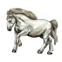percheron horse | Teevron