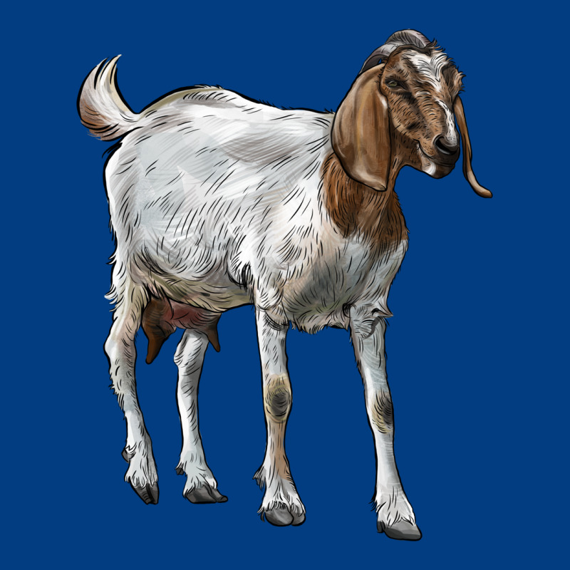 Boer Goat Premium Sweatshirt by LillyAllenDesigns | Teevron