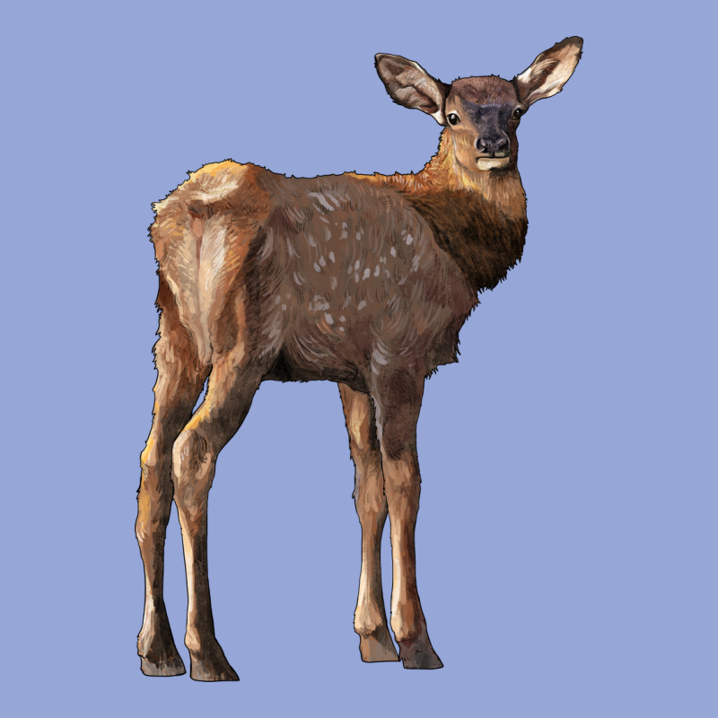 Elk Fawn Deer Classic Tee by LillyAllenDesigns | Teevron
