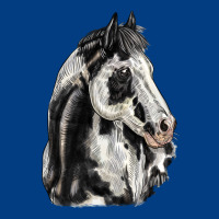 Paint Horse Premium Sweatshirt | Teevron
