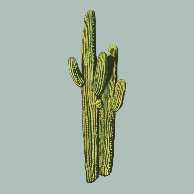 Saguaro Cactus Heavyweight Hoodie by LillyAllenDesigns | Teevron