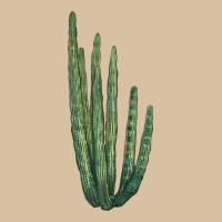 Organ Pipe Cactus Heavyweight Hoodie | Teevron