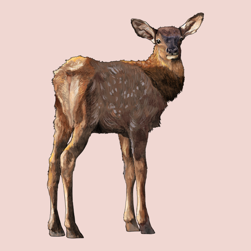 Elk Fawn Deer Premium Sweatshirt by LillyAllenDesigns | Teevron