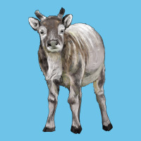 Reindeer Fawn Deer Premium Sweatshirt | Teevron