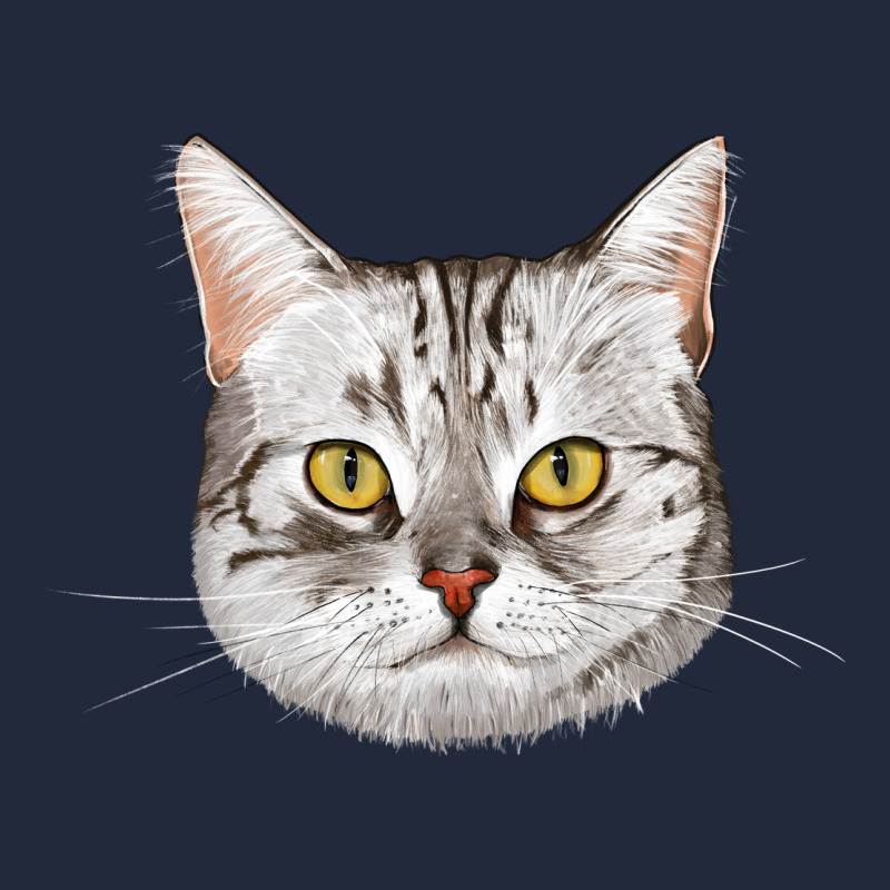 American Shorthair Cat Face Premium Sweatshirt by LillyAllenDesigns | Teevron