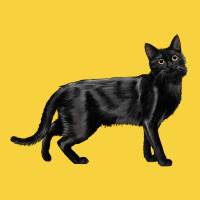 Bombay Cat Premium Sweatshirt | Teevron