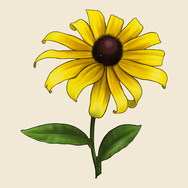 Black Eyed Susan Flower Ladies Tee by LillyAllenDesigns | Teevron
