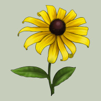 Black Eyed Susan Flower Ladies Tee | Teevron