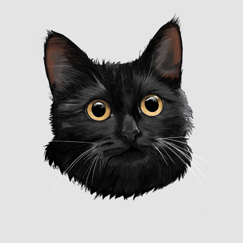 Bombay Cat Face Premium Sweatshirt by LillyAllenDesigns | Teevron
