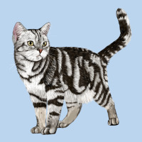 American Shorthair Cat Classic Tee | Teevron