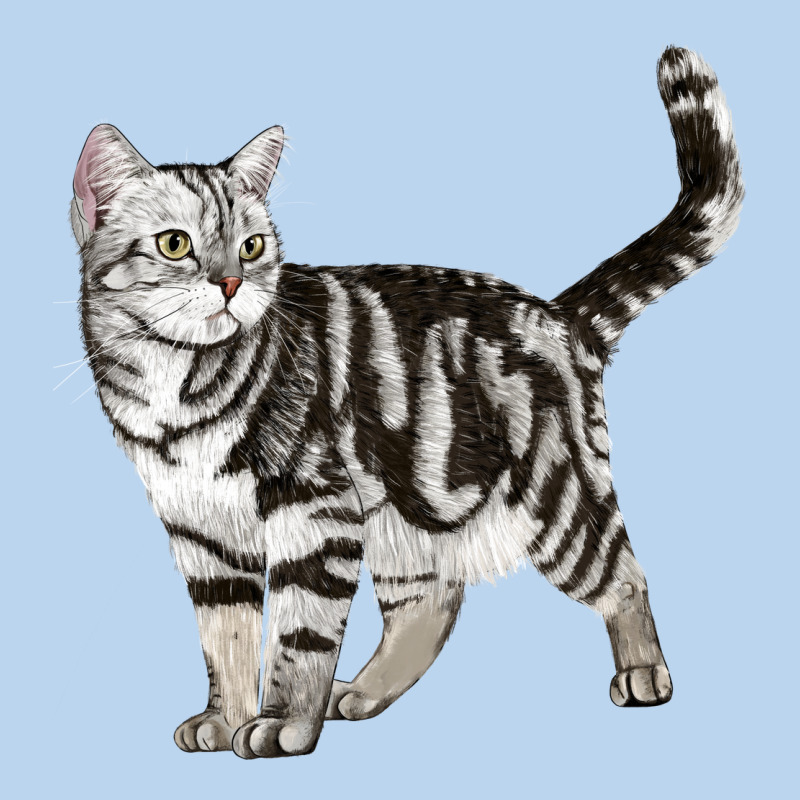 American Shorthair Cat Classic Tee by LillyAllenDesigns | Teevron