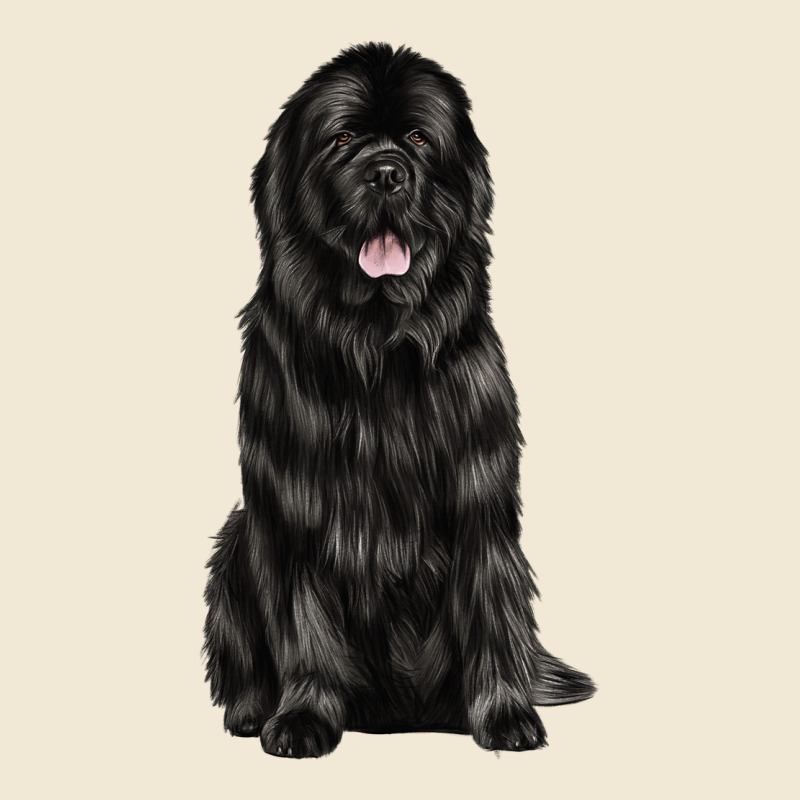 Newfoundland Dog Premium Tee by LillyAllenDesigns | Teevron