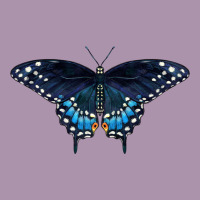 Black Swallowtail Butterfly Heavyweight Hoodie | Teevron