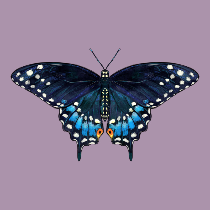 Black Swallowtail Butterfly Heavyweight Hoodie by LillyAllenDesigns | Teevron