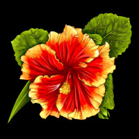 Hawaiian Hibiscus Flower Ladies Tee | Teevron