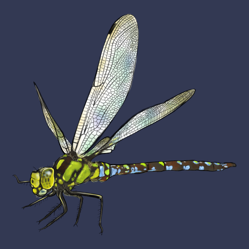 Blue And Yellow Dragonfly Heavyweight Hoodie by LillyAllenDesigns | Teevron