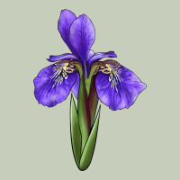 Iris Flower Ladies Tee | Teevron