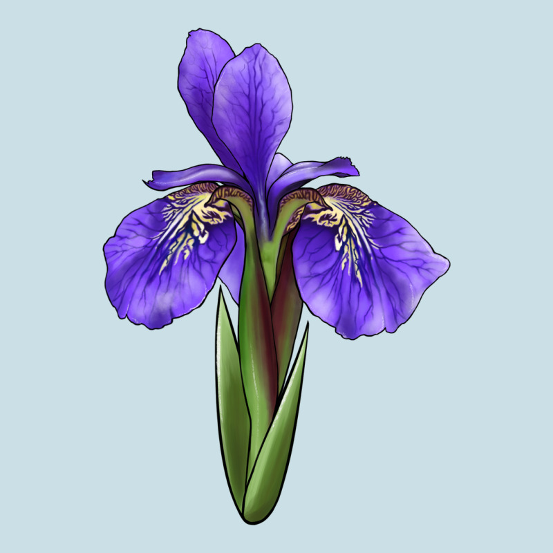 Iris Flower Ladies Tee by LillyAllenDesigns | Teevron