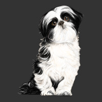 shih tzu dog | Teevron