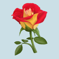 Ketchup And Mustard Rose Ladies Tee | Teevron