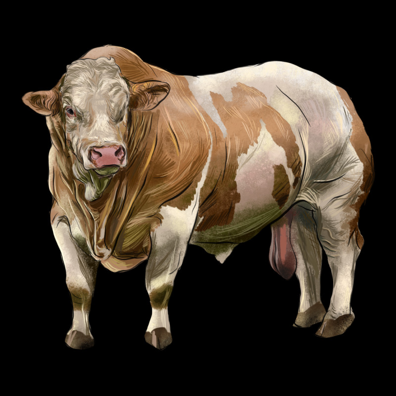 Simmental Bull Premium Sweatshirt by LillyAllenDesigns | Teevron