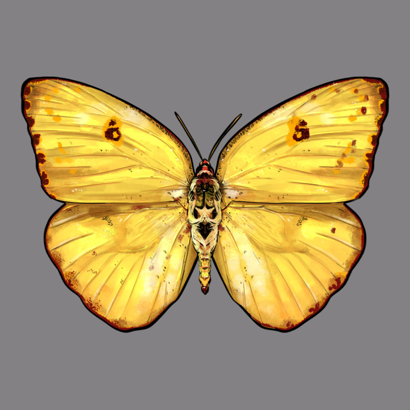 Cloudless Sulphur Butterfly Heavyweight Hoodie by LillyAllenDesigns | Teevron