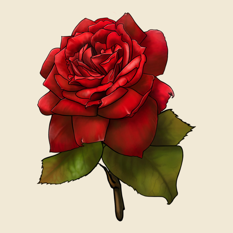 Oklahoma Rose Illustrations Ladies Tee by LillyAllenDesigns | Teevron