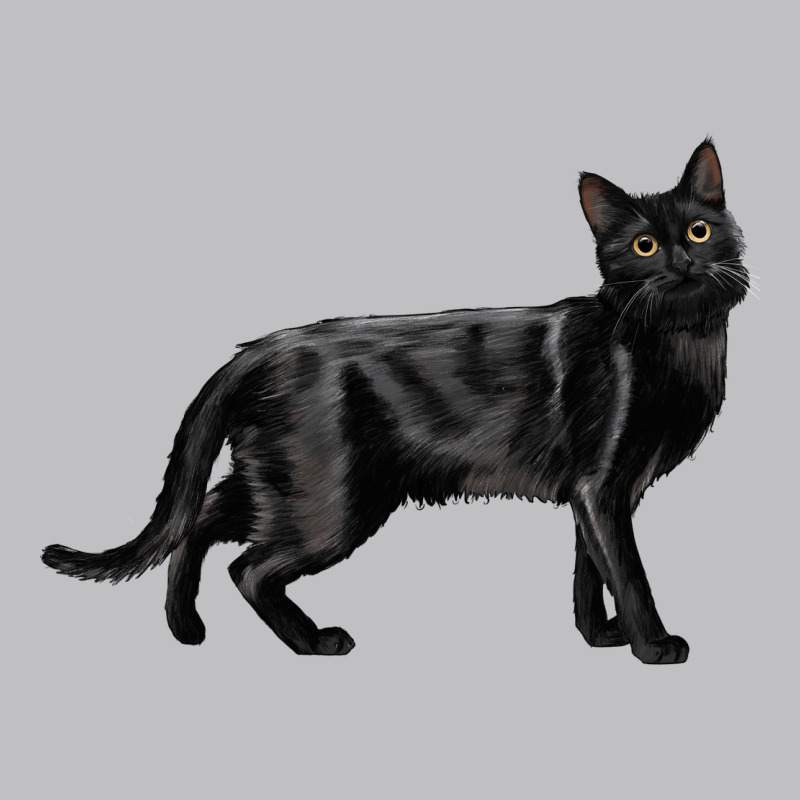 Bombay Cat Classic Tee by LillyAllenDesigns | Teevron
