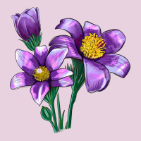 Pasque Flower Illustrations Ladies Tee | Teevron