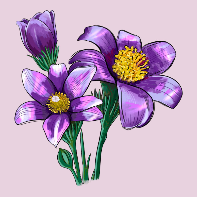Pasque Flower Illustrations Ladies Tee by LillyAllenDesigns | Teevron