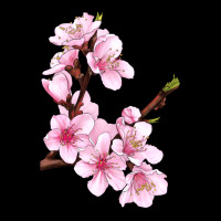 Peach Blossom Illustrations Ladies Tee | Teevron