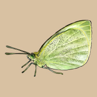 Cabbage White Butterfly Heavyweight Hoodie | Teevron