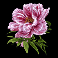 Peony Flower Illustrations Ladies Tee | Teevron