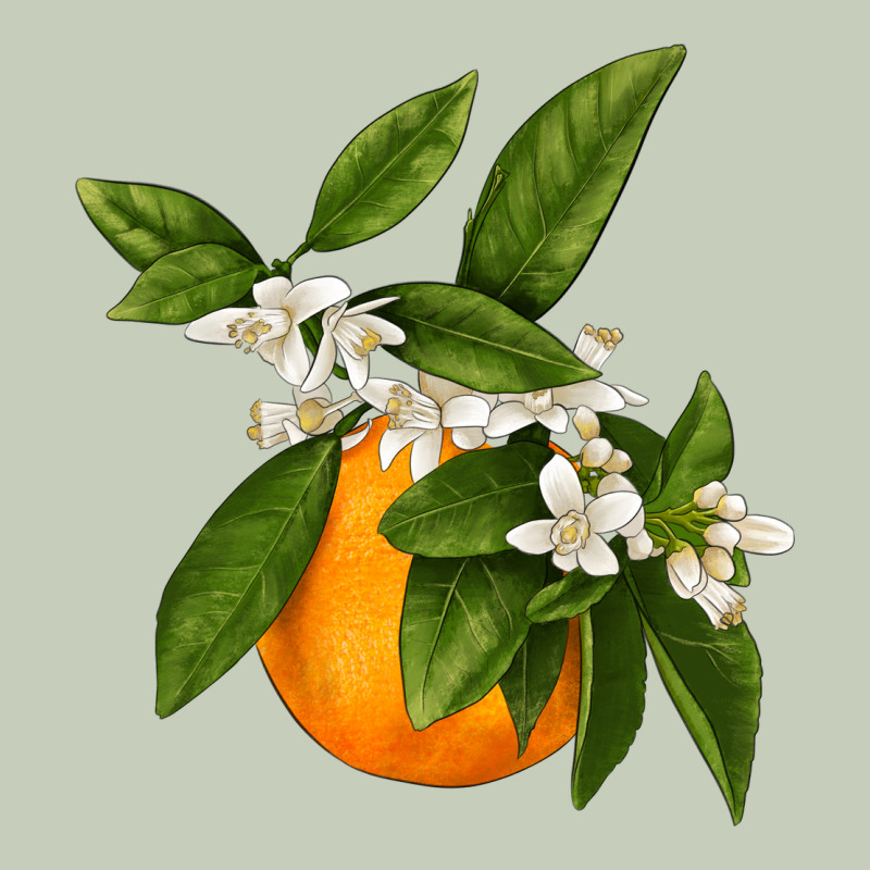 Tangerine Ladies Tee by LillyAllenDesigns | Teevron