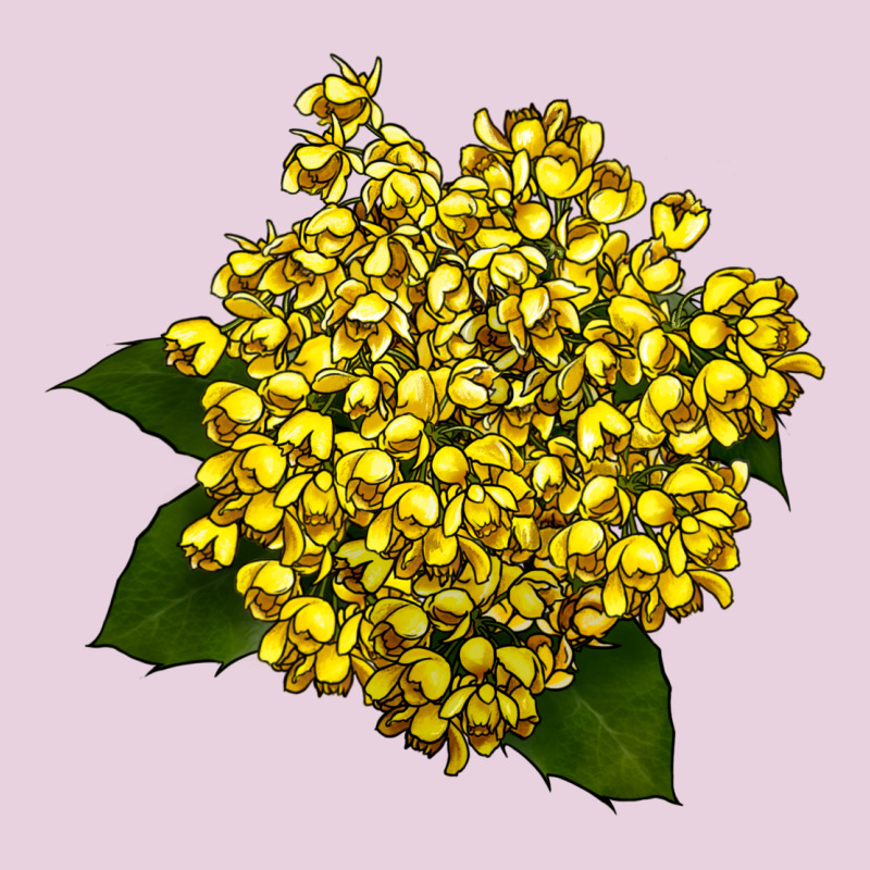 Oregon Grape Flower Illustrations Ladies Tee by LillyAllenDesigns | Teevron