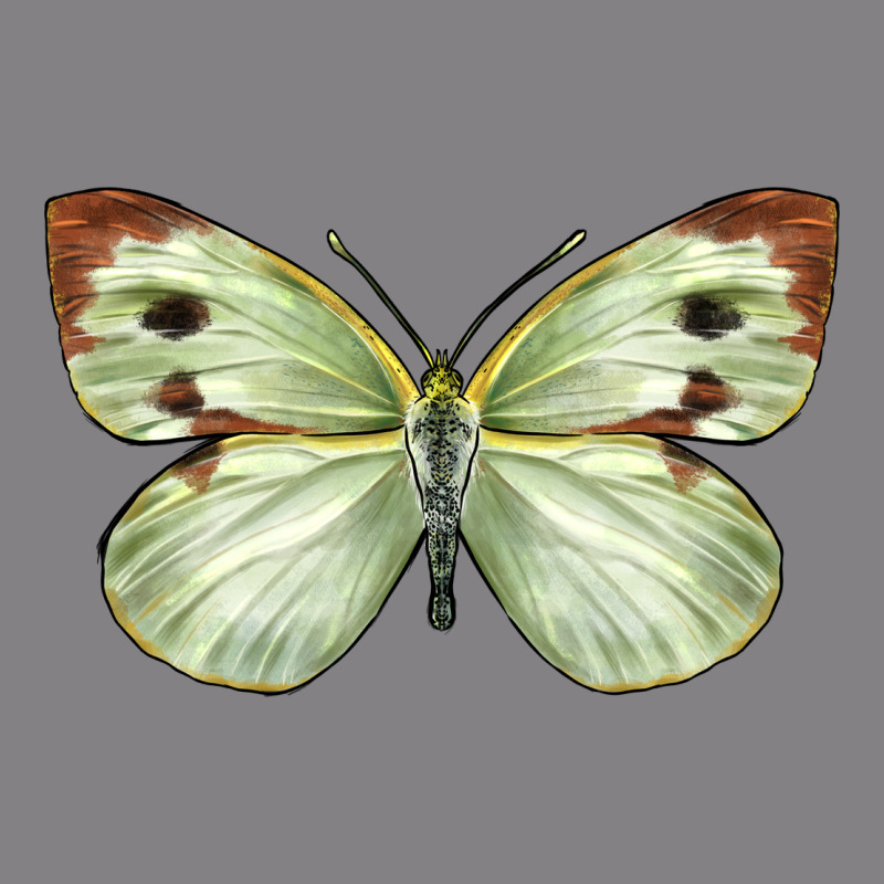 Cabbage Butterfly Heavyweight Hoodie by LillyAllenDesigns | Teevron