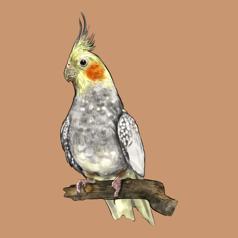 Cocktail Parrot Heavyweight Hoodie by LillyAllenDesigns | Teevron
