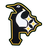 pittsburgh combined sports shirt and sticker | Teevron