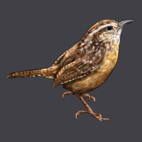 Ccarolina Wren Heavyweight Hoodie | Teevron