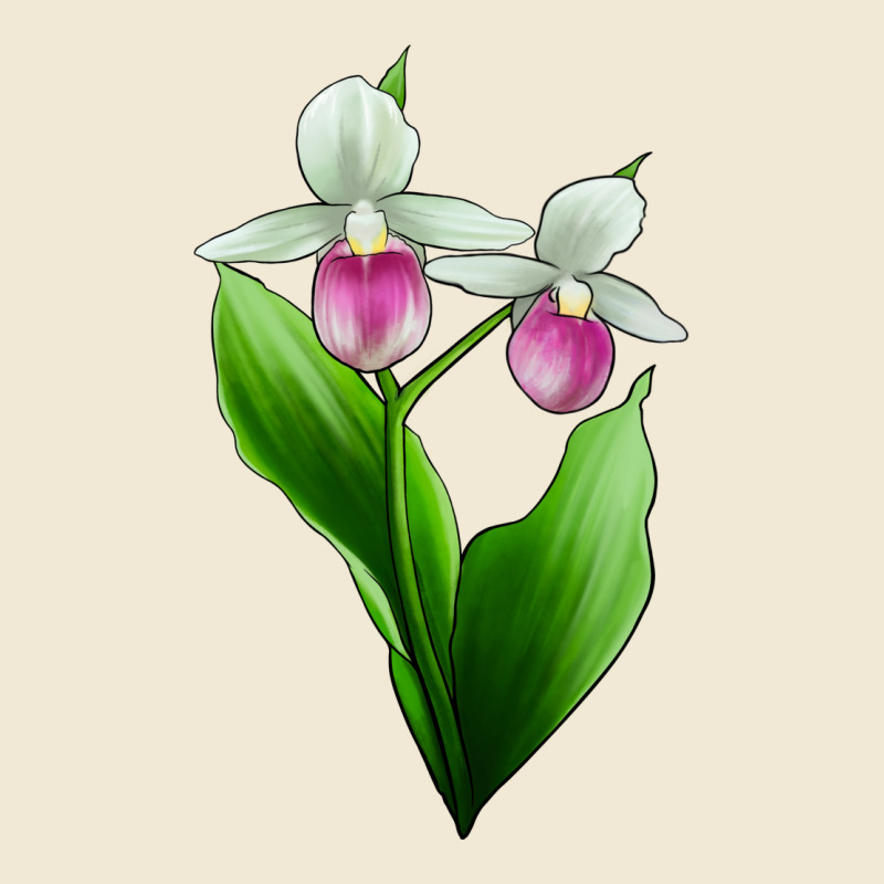Pink And White Lady's Slipper Flower Ladies Tee by LillyAllenDesigns | Teevron
