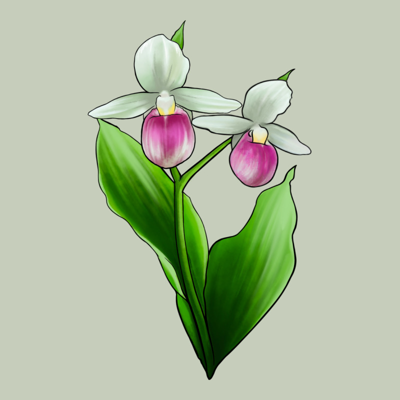 Pink And White Lady's Slipper Flower Ladies Tee by LillyAllenDesigns | Teevron