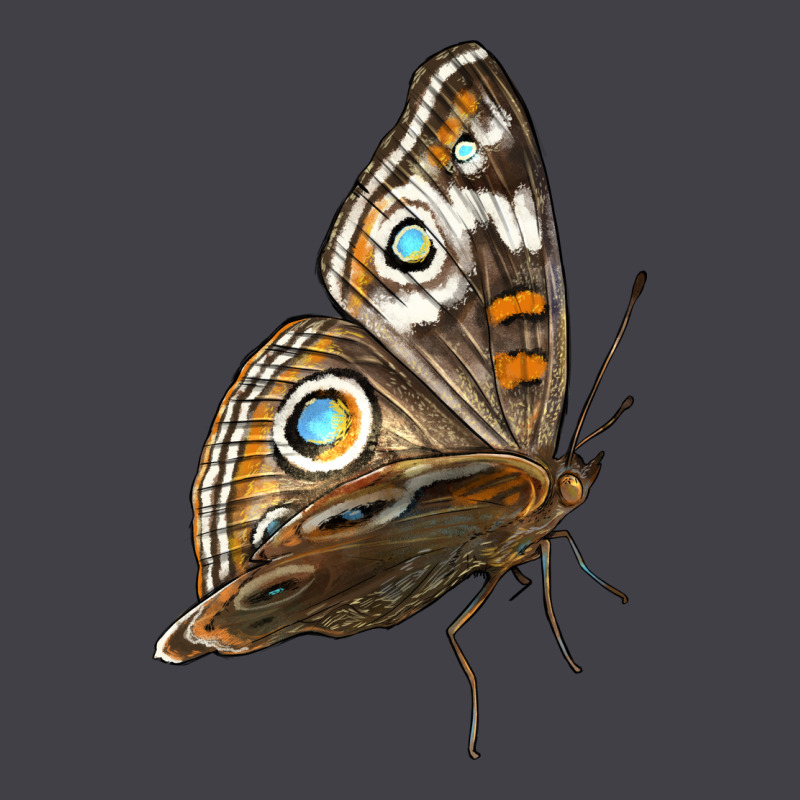 Flying Common Buckeye Butterfly Heavyweight Hoodie by LillyAllenDesigns | Teevron