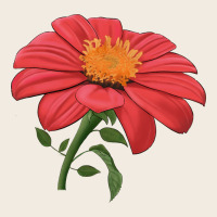 Del Sol Sunflower Premium Sweatshirt | Teevron