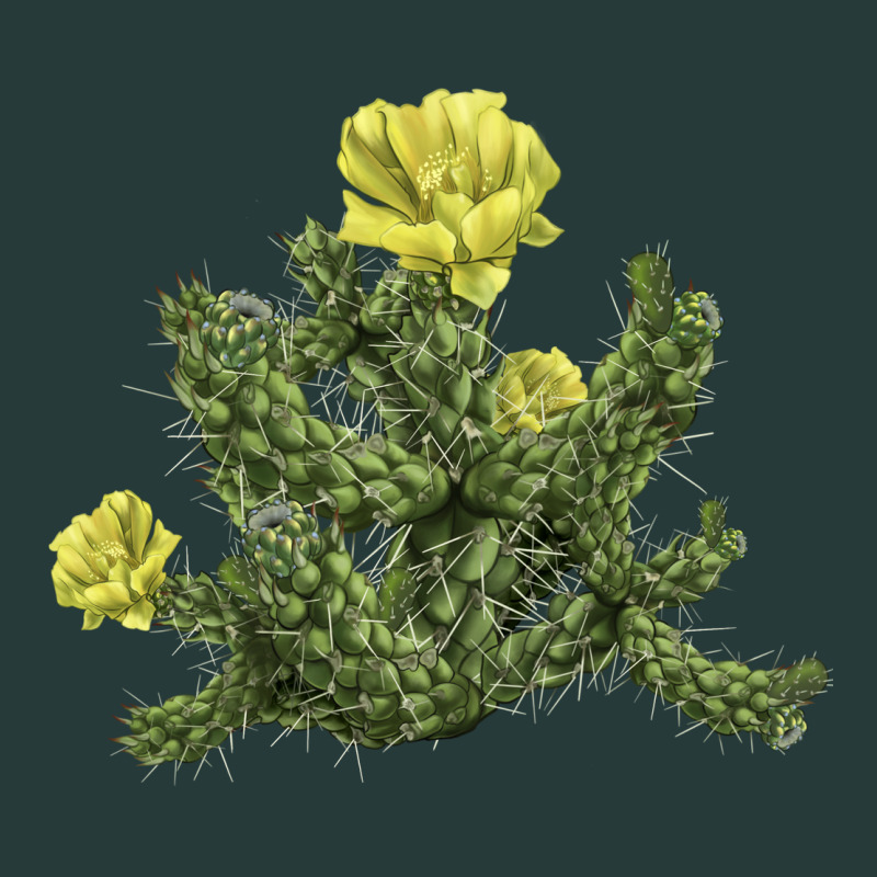 Whipple Cholla Cactus Premium Sweatshirt by LillyAllenDesigns | Teevron