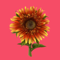 The  Sunflower Premium Sweatshirt | Teevron