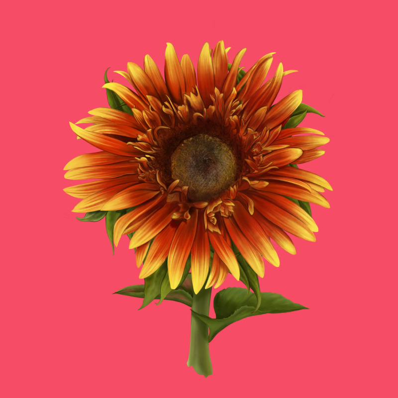 The  Sunflower Premium Sweatshirt by LillyAllenDesigns | Teevron